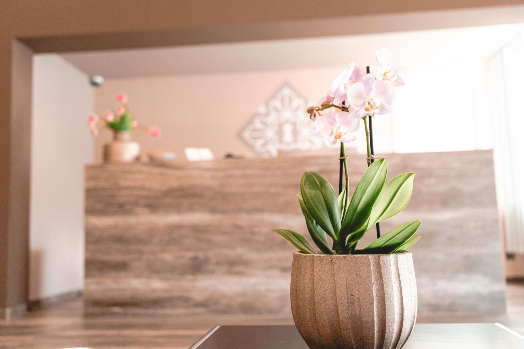 Remstal Hotel Weinstadt Ngoại thất bức ảnh